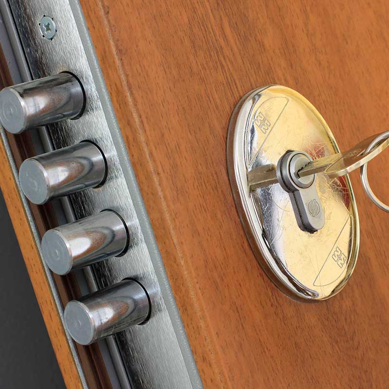 Descripción de la imagen